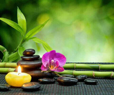 jthamiltonmassagetherapy.com